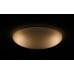 DALEN inteligentní LED stropní osvětlení DL-C308T
